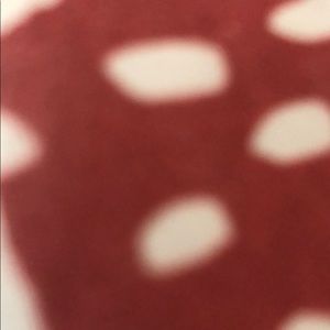 Meet your Posher, Maranda